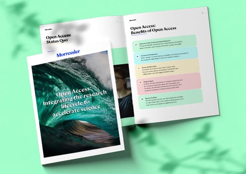 mail-guide-mockup3
